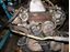 Picture of Mercedes 300D used engine 617912 SOLD